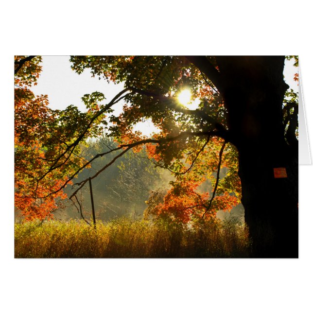 Autumn Good Morning (Voorkant Horizontaal)