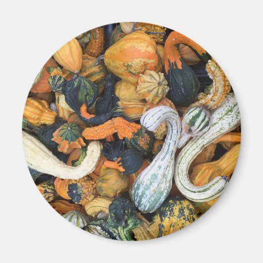 Autumn Gourds Magneet (Voorkant)