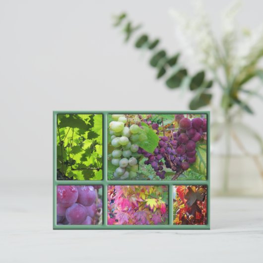 Autumn Grape Harvest Collage Briefkaart (Staand voorkant)
