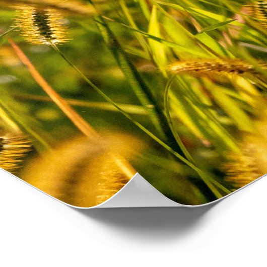 Autumn Grass Poster (Hoek)