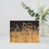 Autumn Grasses Briefkaart (Staand voorkant)