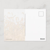 Autumn Grasses Briefkaart (Achterkant)