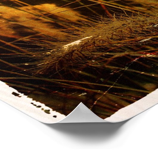 Autumn Grasses Poster (Hoek)
