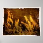 Autumn Grasses Poster (Voorkant)