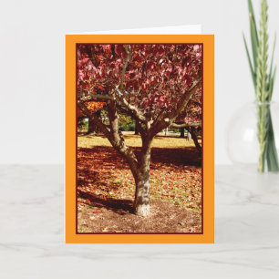 Autumn Greetings Kaart