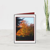 Autumn Greetings Kaart (Voorkant)