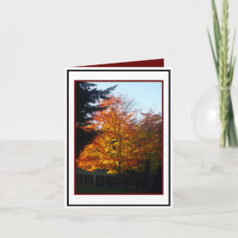 Autumn Greetings Kaart