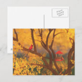 Autumn Guardian Briefkaart (Voorkant / Achterkant)