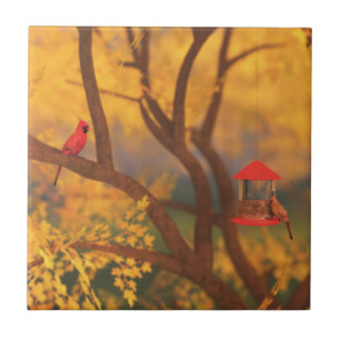 Autumn Guardian Decoratieve Tegel / Trivet Tegeltje