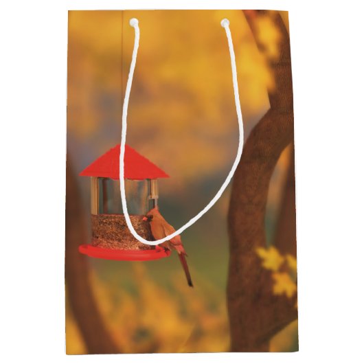 Autumn Guardian Gift Bag Medium Cadeauzakje (Voorkant)