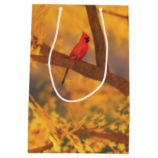 Autumn Guardian Gift Bag Medium Cadeauzakje (Achterkant)