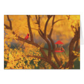 Autumn Guardian Kaart (Voorkant Horizontaal)