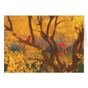 Autumn Guardian Kaart