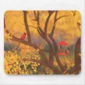 Autumn Guardian Mousepad Muismat (Voorkant)