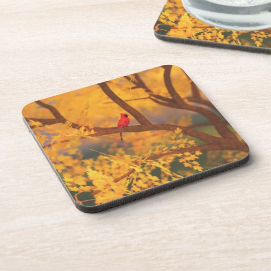 Autumn Guardian Onderzetters (Linkerzijde)