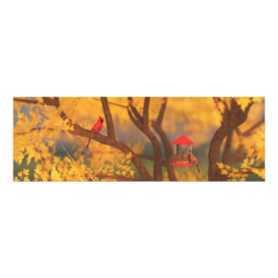 Autumn Guardian Photo Print Foto Afdruk