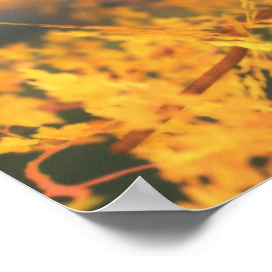 Autumn Guardian Print (Hoek)