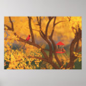 Autumn Guardian Print (Voorkant)