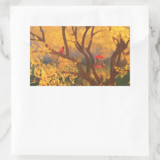 Autumn Guardian Stickers (Tas)