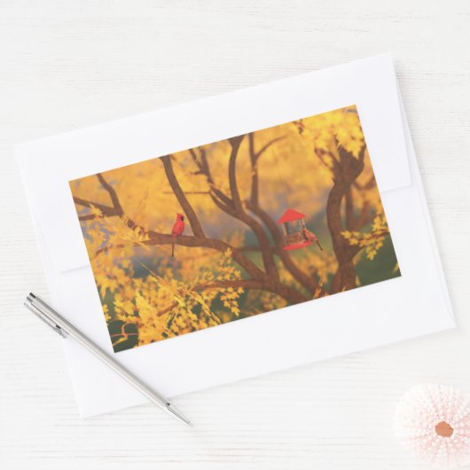 Autumn Guardian Stickers (Envelop)