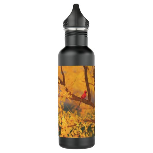 Autumn Guardian Water Bottle Waterfles (Links)