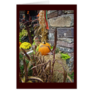 Autumn Harvest Bounty
