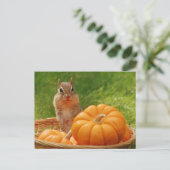 Autumn Harvest Chipmunk Briefkaart (Staand voorkant)