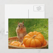 Autumn Harvest Chipmunk Briefkaart (Voorkant / Achterkant)