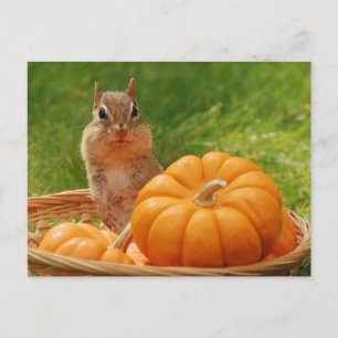 Autumn Harvest Chipmunk Briefkaart