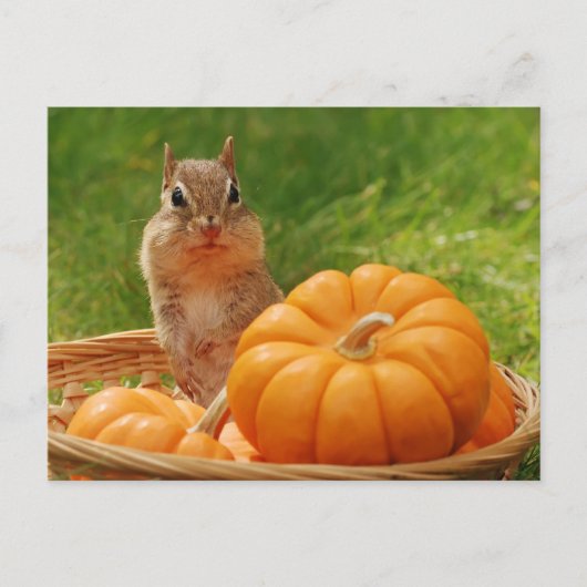 Autumn Harvest Chipmunk Briefkaart (Voorkant)
