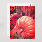 Autumn Harvest Postcard Briefkaart (Voorkant / Achterkant)