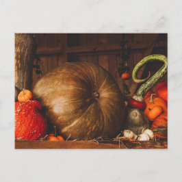 Autumn Harvest Pumpkins Gourds Thanksgiving Herfst Briefkaart