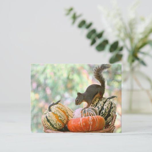 Autumn Harvest Squirrel Briefkaart (Staand voorkant)