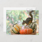 Autumn Harvest Squirrel Briefkaart (Voorkant / Achterkant)