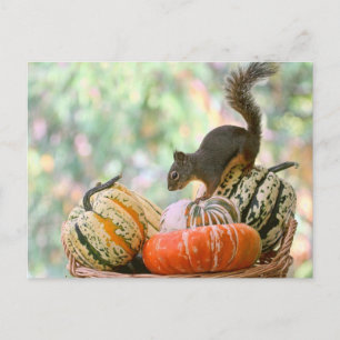 Autumn Harvest Squirrel Briefkaart