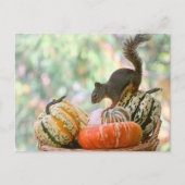 Autumn Harvest Squirrel Briefkaart (Voorkant)