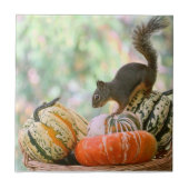 Autumn Harvest Squirrel Tegeltje (Voorkant)