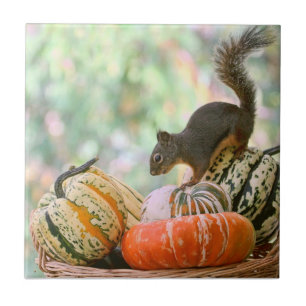 Autumn Harvest Squirrel Tegeltje
