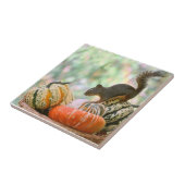 Autumn Harvest Squirrel Tegeltje (Zijkant)