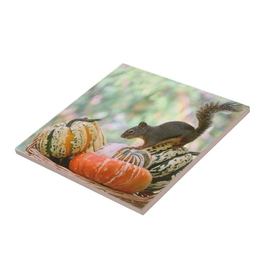 Autumn Harvest Squirrel Tegeltje (Zijkant)