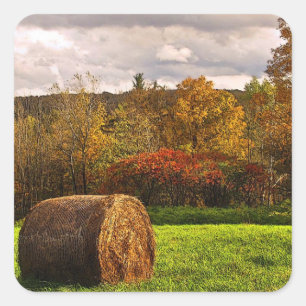 Autumn Harvest Vierkante Sticker