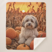 Autumn Havanese Sherpa Deken (Voorkant)