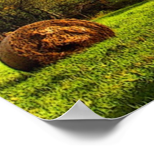 Autumn Hay Harvest Poster (Hoek)