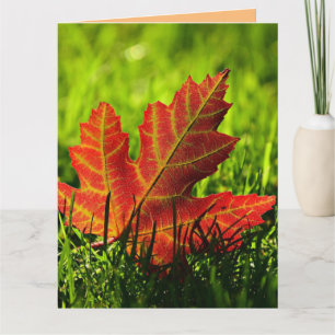 AUTUMN HERFST BIRTHDAY WENSKAART KAART