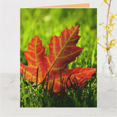 AUTUMN HERFST BIRTHDAY WENSKAART KAART (Gele Bloem)