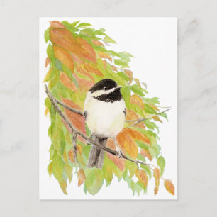 Autumn, Herfst, Chickadee, Bird Natuur Briefkaart