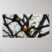 Autumn Herfst Tree Branches Poster (Voorkant)