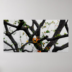 Autumn Herfst Tree Branches Poster