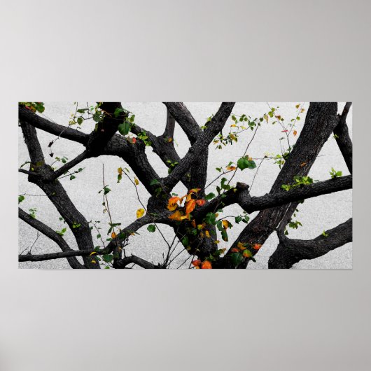 Autumn Herfst Tree Branches Poster (Voorkant)