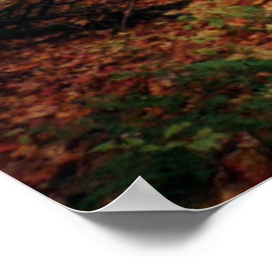 Autumn Hike Poster (Hoek)